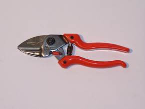 Migliori forbici per potatura