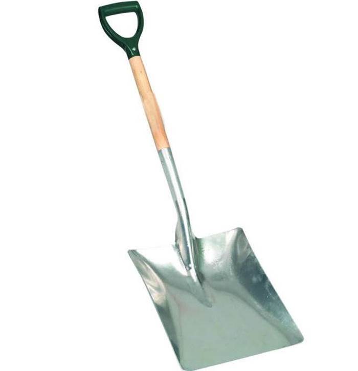 vanga