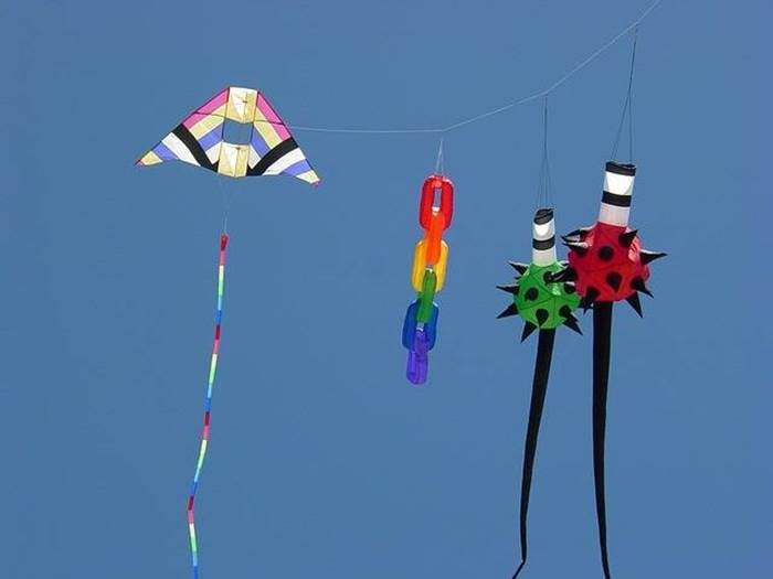 Diversi tipi aquilone