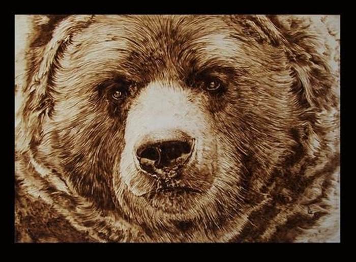 Immagine orso pirografato