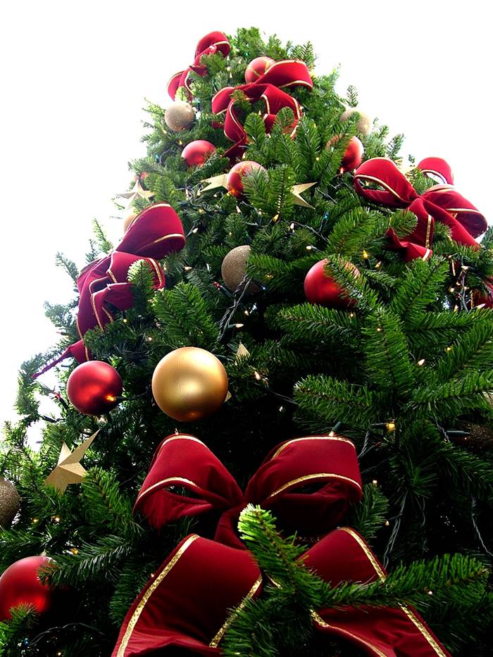 Albero tradizionale con luci calde