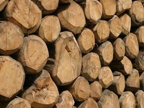 Come levigare il legno