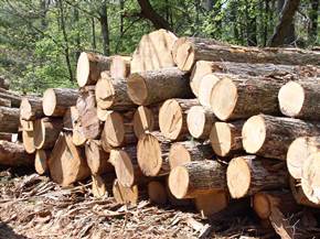 Legno fai da te