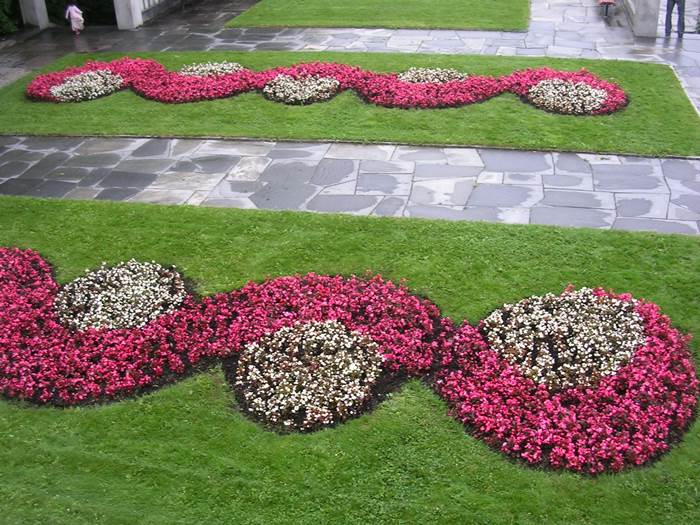 Giardino con aiuole