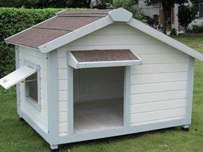 Caratteristiche delle casette per cani