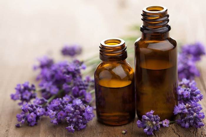 Olio essenziale di lavanda dalle proprietà terapeutiche