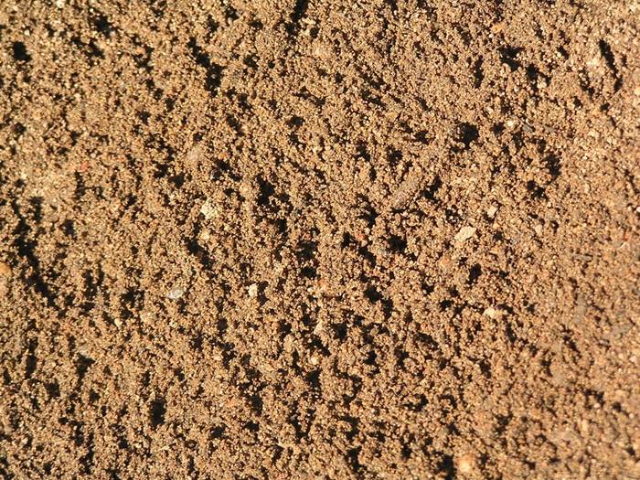 terreno limoso