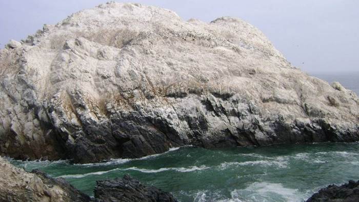Deposito di guano