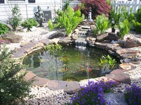 Come realizzare giardini d'acqua