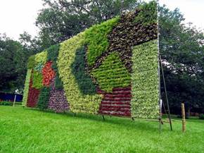 Giardino verticale fai da te