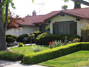Progettazione giardini passo passo