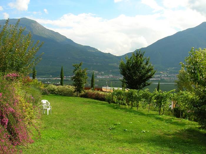 Pregi e difetti