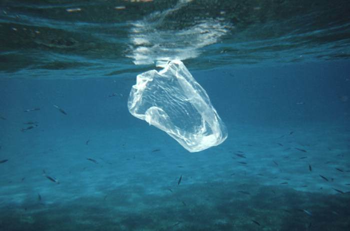 Sacchetti di plastica che inquinano le spiagge