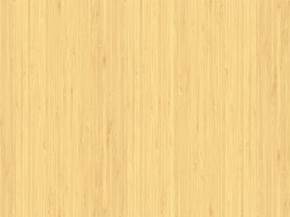 Parquet in bamboo