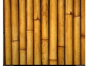 Installare pavimenti in bamboo