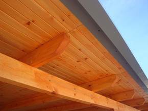 Miglior copertura tetto in legno