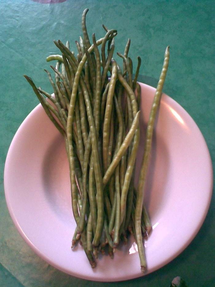 Fagiolini nel piatto