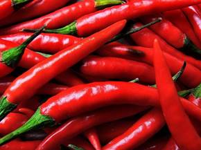 Coltivazione del peperoncino