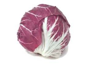 Coltivazione del radicchio