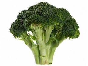 Come coltivare broccoli