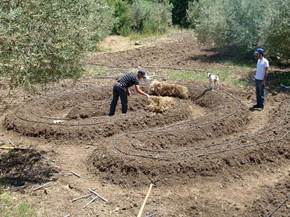 Cos'è l'orto sinergico