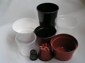 Coltivare le orchidee in vaso 