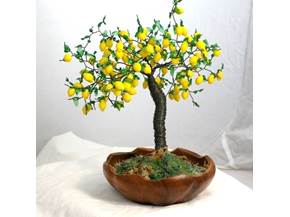 Come curare un bonsai di limone
