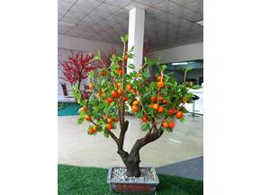 Cura bonsai di pesco