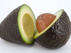 Coltivazione dell'avocado