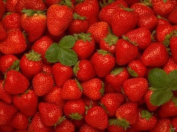 fragole