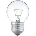 lampadina ad incandescenza da 60 watt