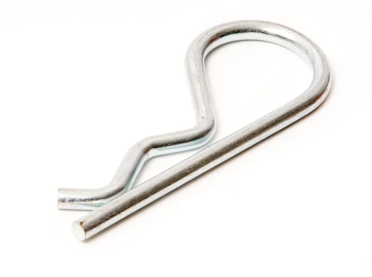 Copiglia elastica