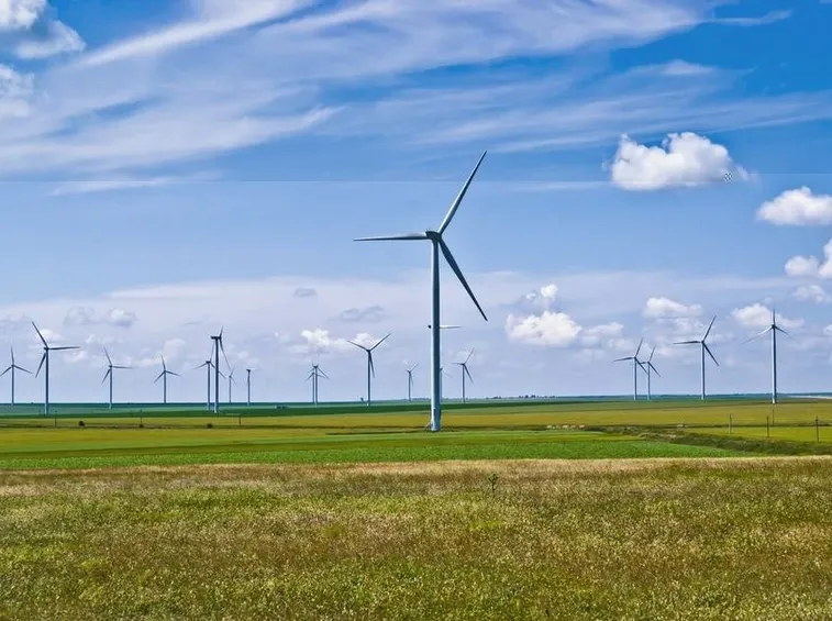 Gli impianti eolici sono spesso avversati anche da settori del mondo ecologista