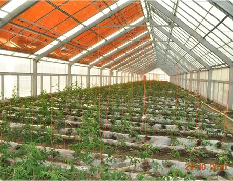 interno serra solare