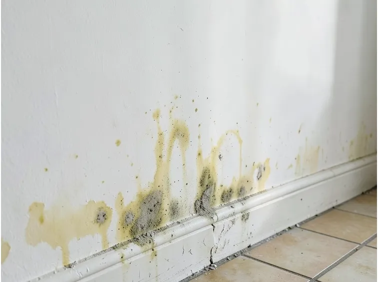 esempio di umidità in casa