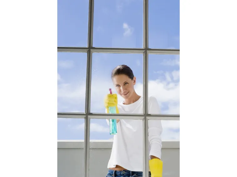 spray vetri 