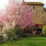 Agriturismo in Toscana