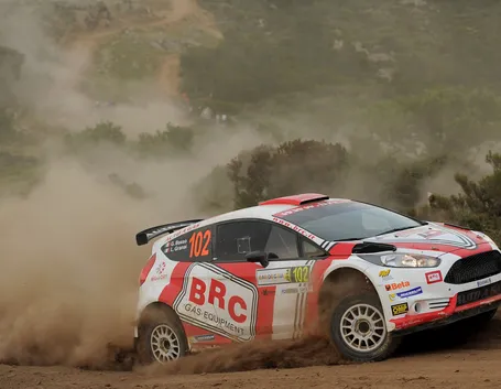 Ford Fiesta a gas