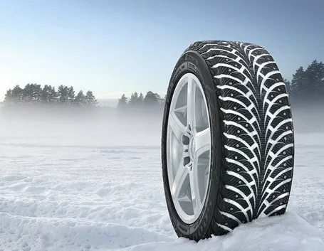 gomma neve
