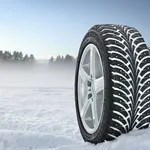 gomma neve
