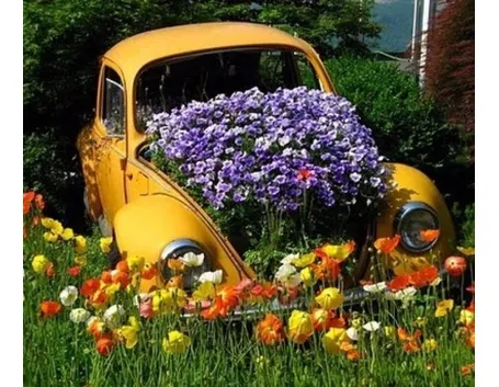 Automobile abbandonata trasformata in giardino naturale