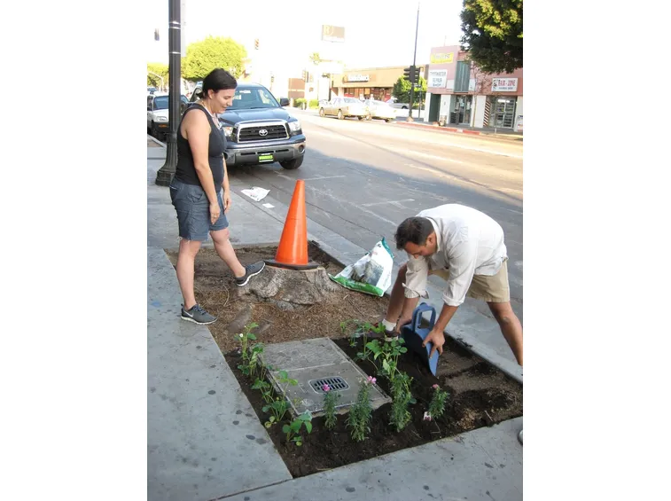 Azione di guerrilla gardening