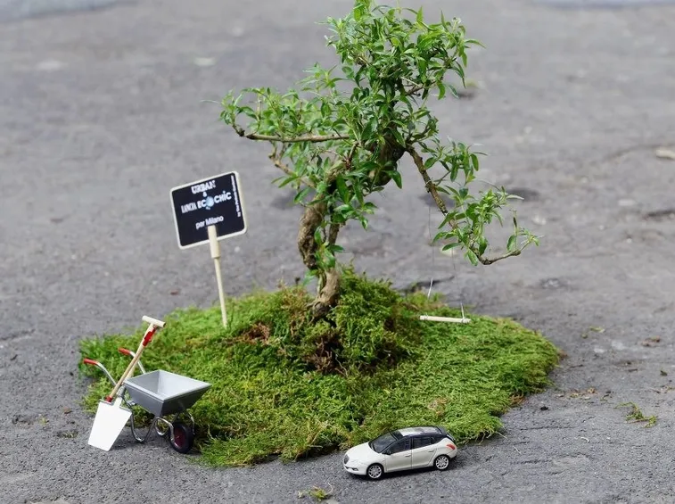 Risultato di una micro azione di guerrilla gardening