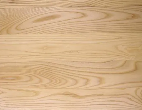 pregi del legno di frassino 