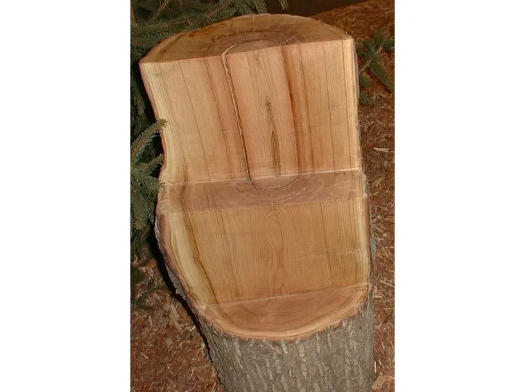 Legno di castagno
