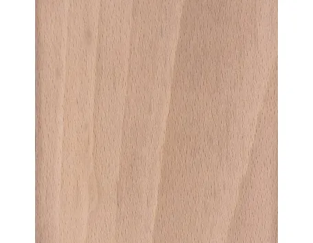 legno di faggio 