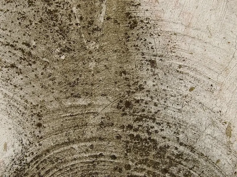 Muro infestato di muffa