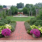 giardino con pavimentazione ruvida