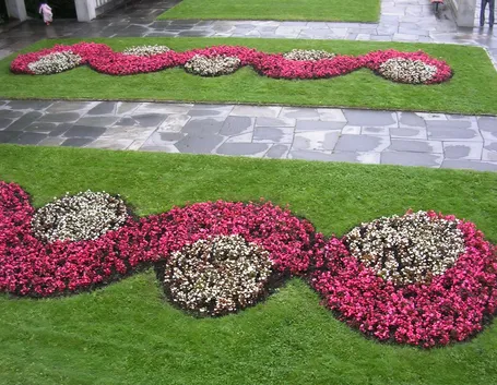 Giardino con aiuole