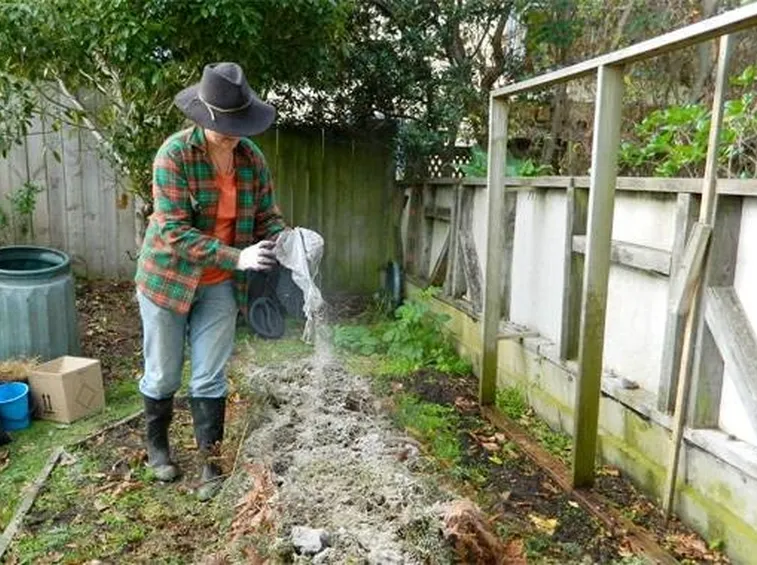 Fertilizzazione del terreno